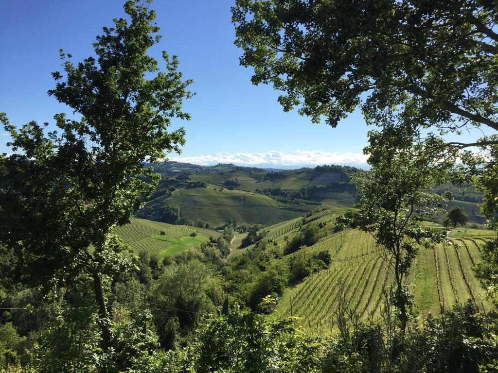 Cascina Alberta Treiso Kültér fotó